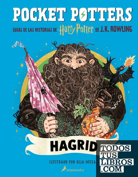 POCKET POTTERS-HAGRID